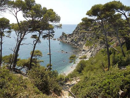 A 500 Metres Des Plages Et Du Port Du Brusc, Les Terrasses Des Embiez Avec Piscine Et Spa シス・フール・レ・プラージュ エクステリア 写真